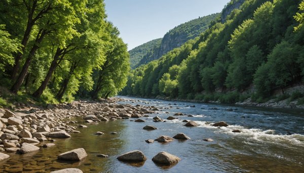 Vivre l'ardèche au bord de la rivière : une immersion nature